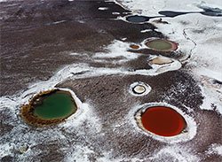 Excursión al salar de Antofalla